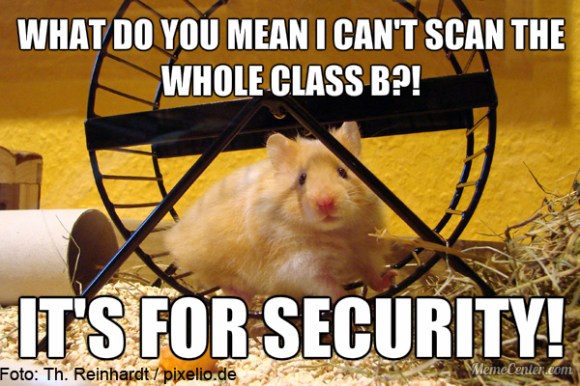hamster_meme